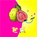 香瓜视频无限观看版